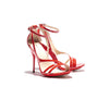B1621023 AMBER Red